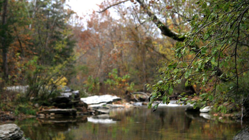 Home Yellville, AR South Shore